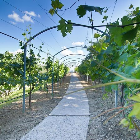 Agriturismo Il Vecchio Mandorlo Perugia Exteriör bild