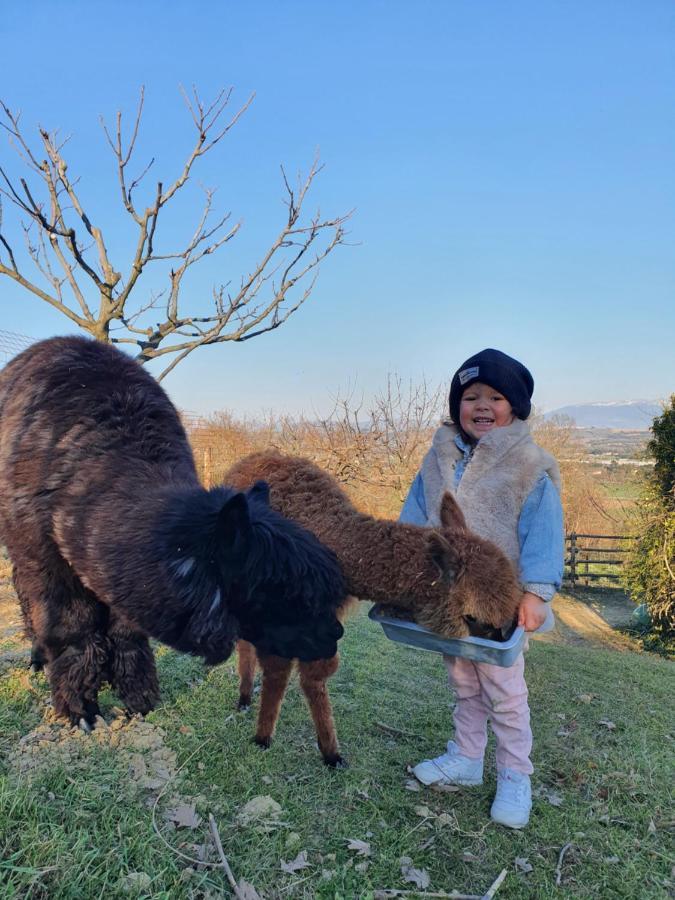 Agriturismo Il Vecchio Mandorlo Villa Perugia Exteriör bild