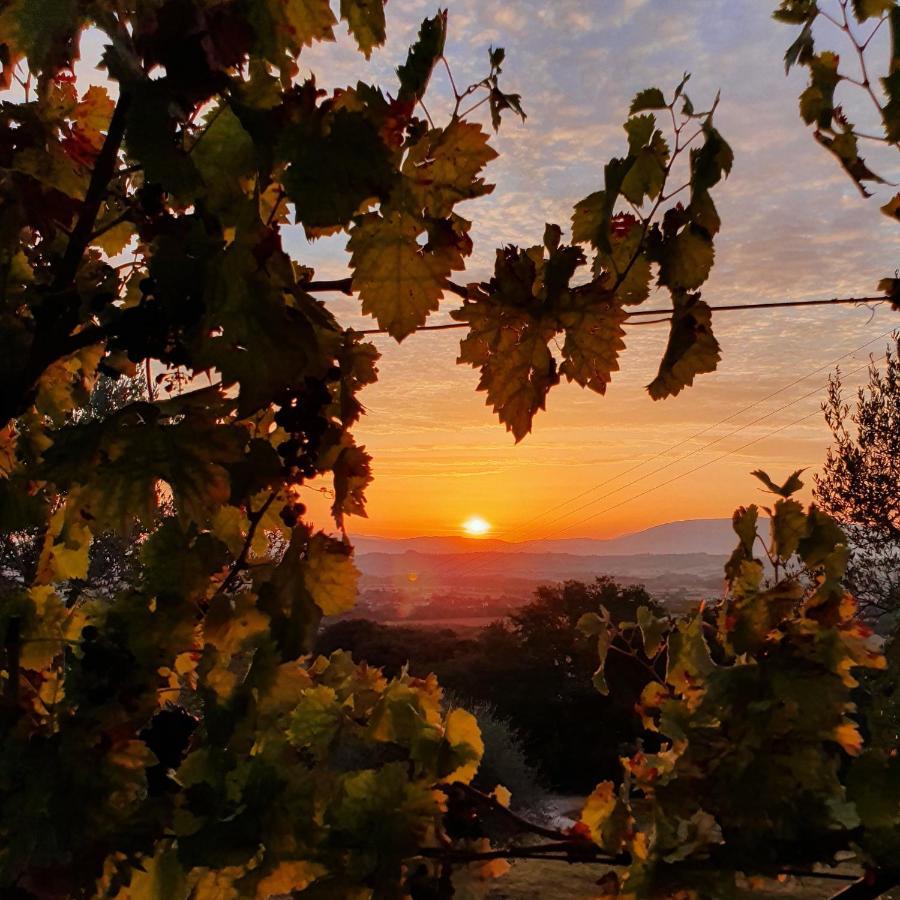 Agriturismo Il Vecchio Mandorlo Perugia Exteriör bild